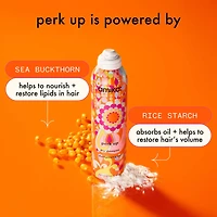 Perk Up Talc-Free Dry Shampoo