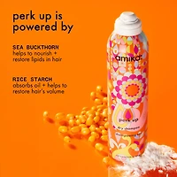 Mini Perk Up Talc-Free Dry Shampoo