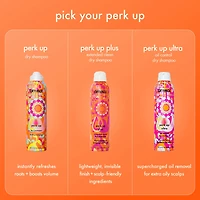 Mini Perk Up Talc-Free Dry Shampoo