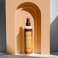 Heat Screen Hair Heat Protectant Spray