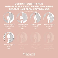 Heat Screen Hair Heat Protectant Spray
