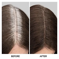 Root Coverup Powder