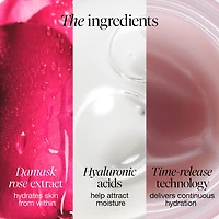 Mini Rose & Hyaluronic Acid Deep Hydration Moisturizer