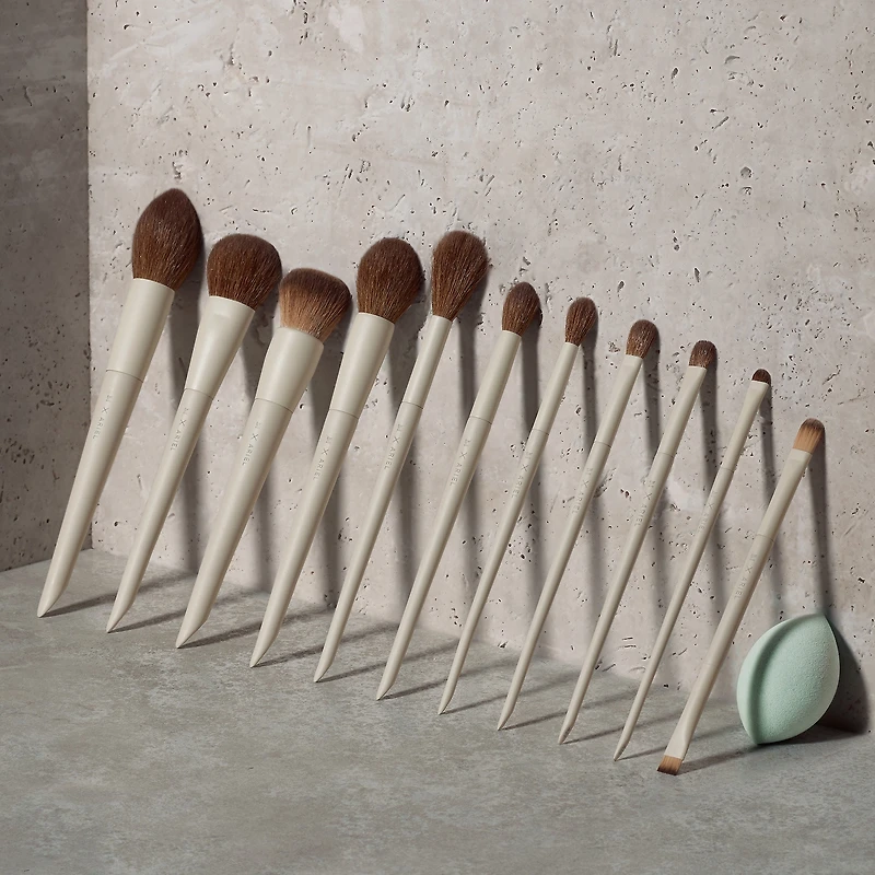 Ensemble de 12 pinceaux pour le visage et les yeux Morphe x Ariel Signature Look