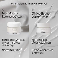 Mochi Mochi Luminous Plumping & Hydrating Moisturizer