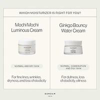 Mochi Mochi Luminous Plumping & Hydrating Moisturizer
