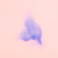 Soin éclat et réparation Bright Blonde