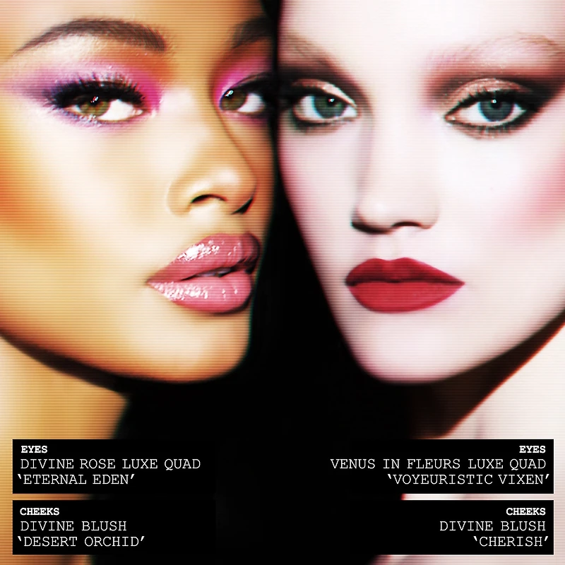 Skin Fetish : Fard à joues en poudre Divine