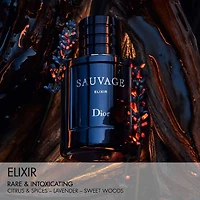Sauvage Elixir