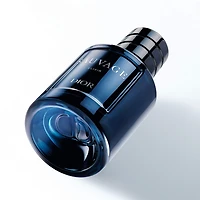 Sauvage Elixir