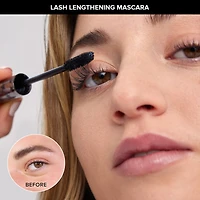 Brows & Lashes 3pc Kit