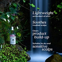 Sérum apaisant à l’amla SahaScalp™