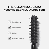 Mascara 101 Lengthening and Lifting