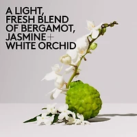 Butta Drop Refill Whipped Oil Body Cream with Tropical Oils + Shea Butter