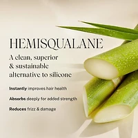 Embody Daily Volumizing Shampoo