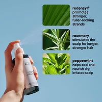 Vaporisateur quotidien intensif avec romarin pour cheveux clairsemés