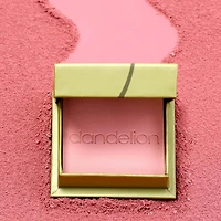 Fard à joues illuminant Dandelion Baby-Pink