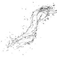 Vaporisateur pour le visage Adaptogen avec aloès et eau de noix de coco
