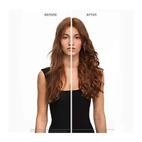 Chroma Absolu Anti-Frizz Leave-In Treatment for Color-Treated Hair