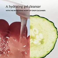 Soy Hydrating Gentle Face Cleanser