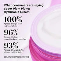 Hydratant à l’acide hyaluronique rechargeable Plum Plump