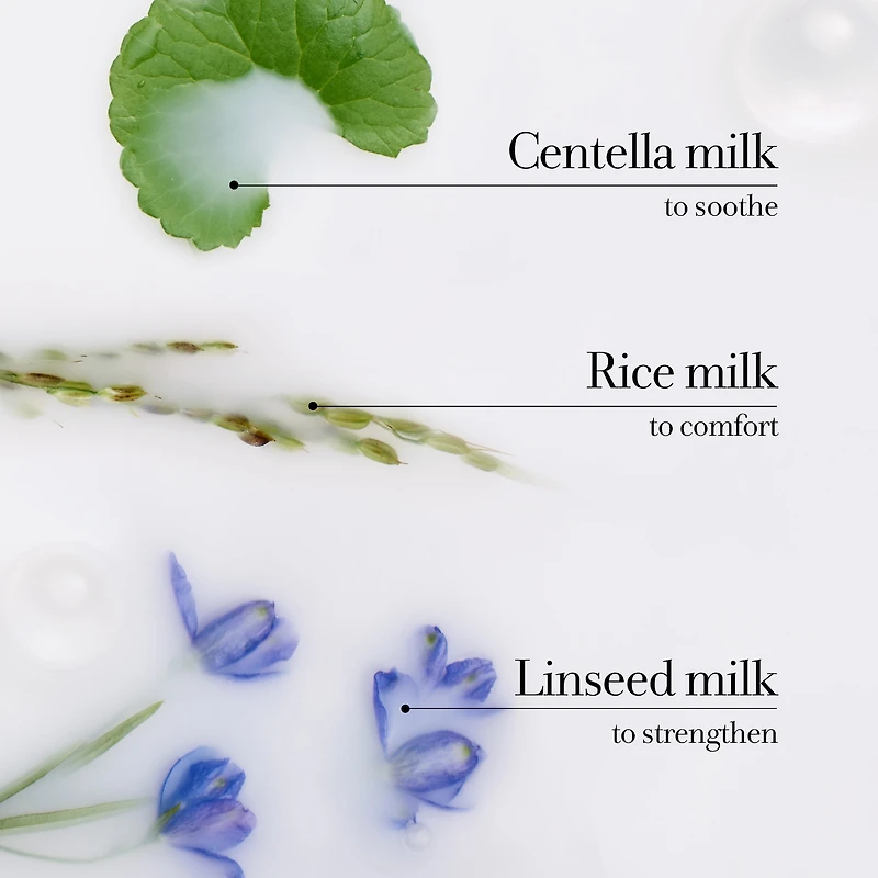Nettoyant au lait pour le corps >