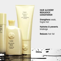 Revitalisant fortifiant Hair Alchemy