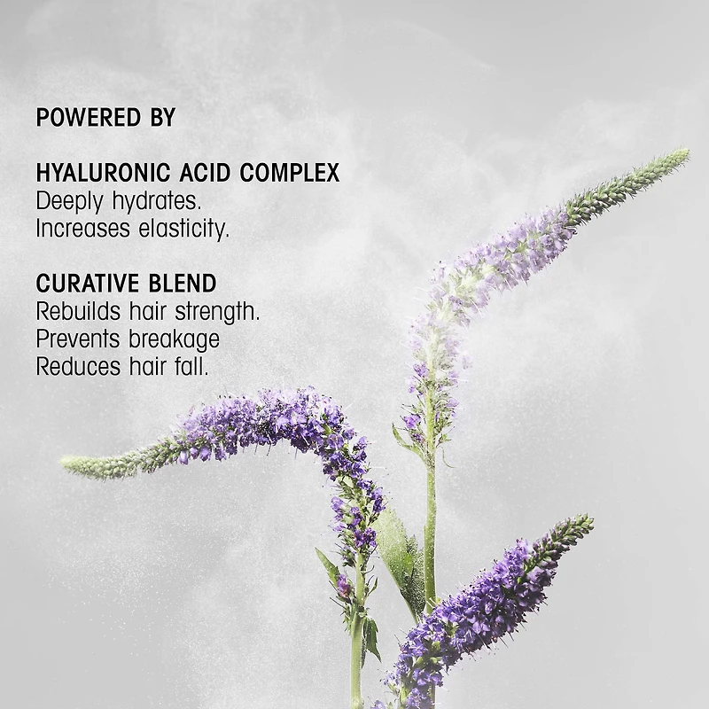 Revitalisant fortifiant Hair Alchemy