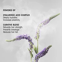 Revitalisant fortifiant Hair Alchemy