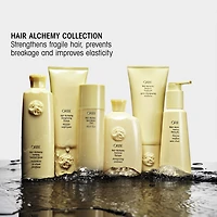 Hair Alchemy Strengthening Shampoo