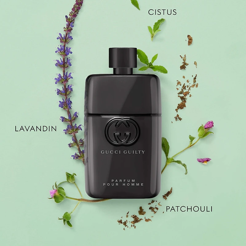 Parfum Guilty pour homme avec lavande, cistus et patchouli