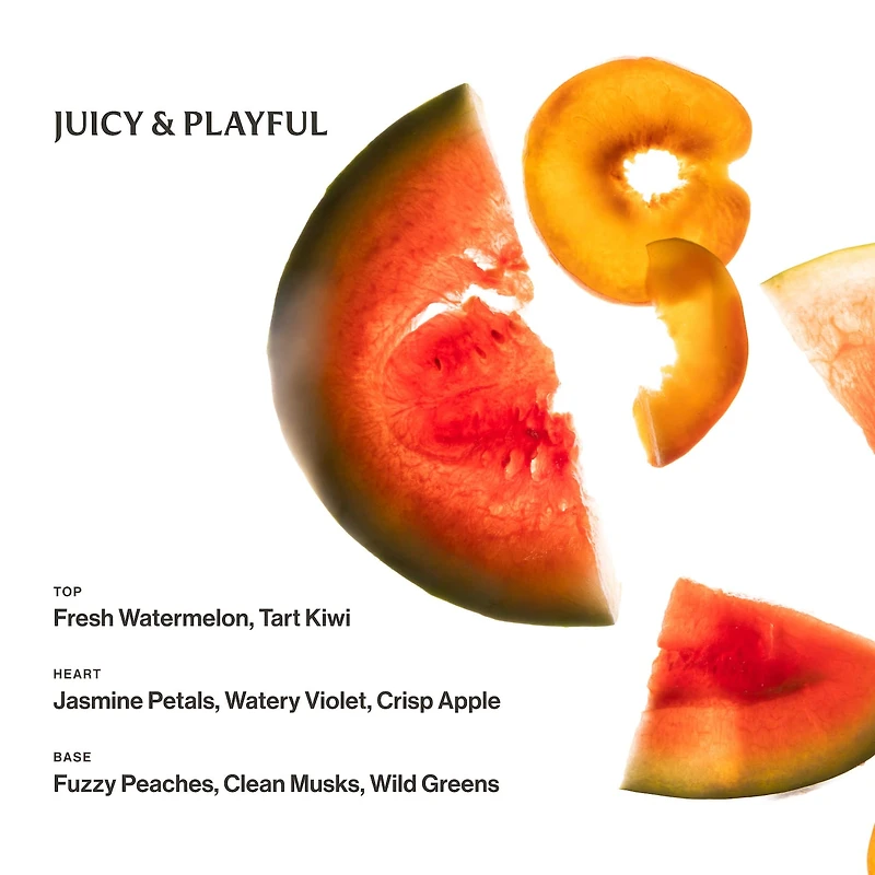 Power Mist Hydrating Hand Sanitizer