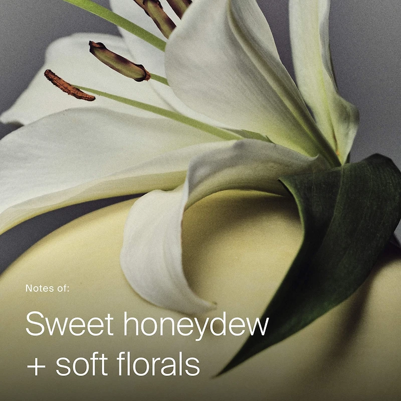 Vaporisateur Full Dry Volume and Texture