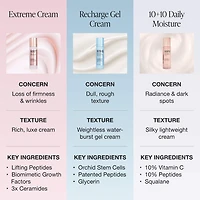 10 + 10 Moisturizer with 10% Vitamin C + 10% Peptide Complex + Ceramides