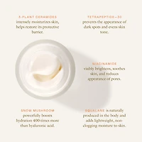 Cloud Cushion Plush Moisturizer with Ceramides + Peptides