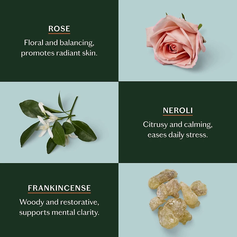 The Body Stone - Deep Moisturizing Cocoa Butter Lotion Bar for Dry Skin Treatment