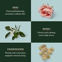 The Body Stone - Deep Moisturizing Cocoa Butter Lotion Bar for Dry Skin Treatment