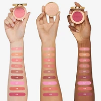 Luminous Matte Powder Blush