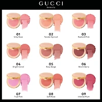 Luminous Matte Powder Blush