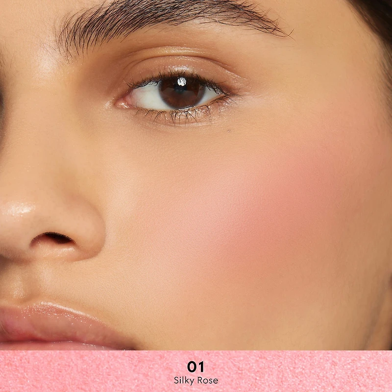 Luminous Matte Powder Blush