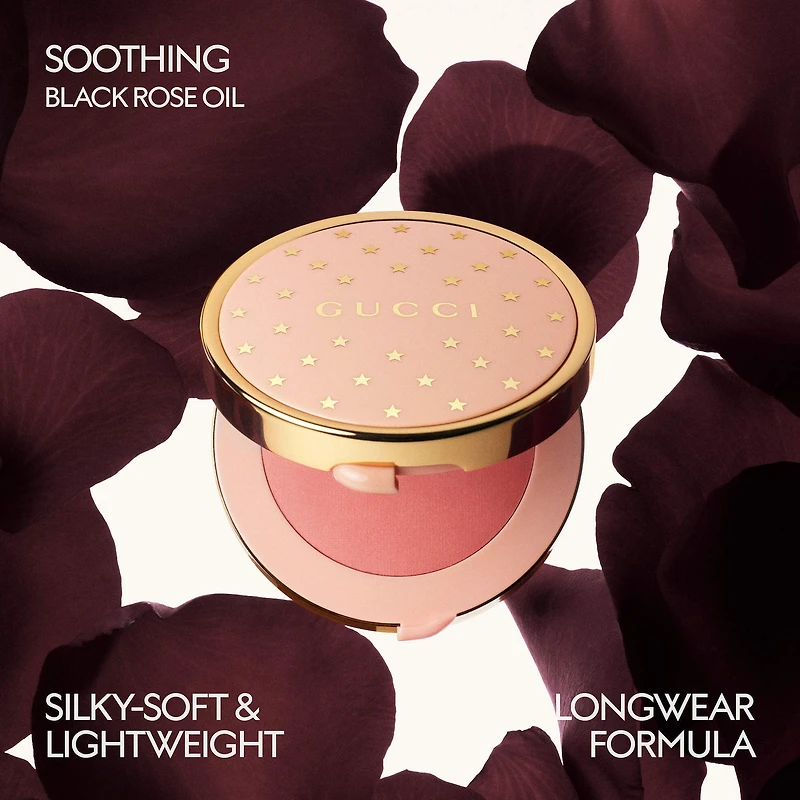 Luminous Matte Powder Blush