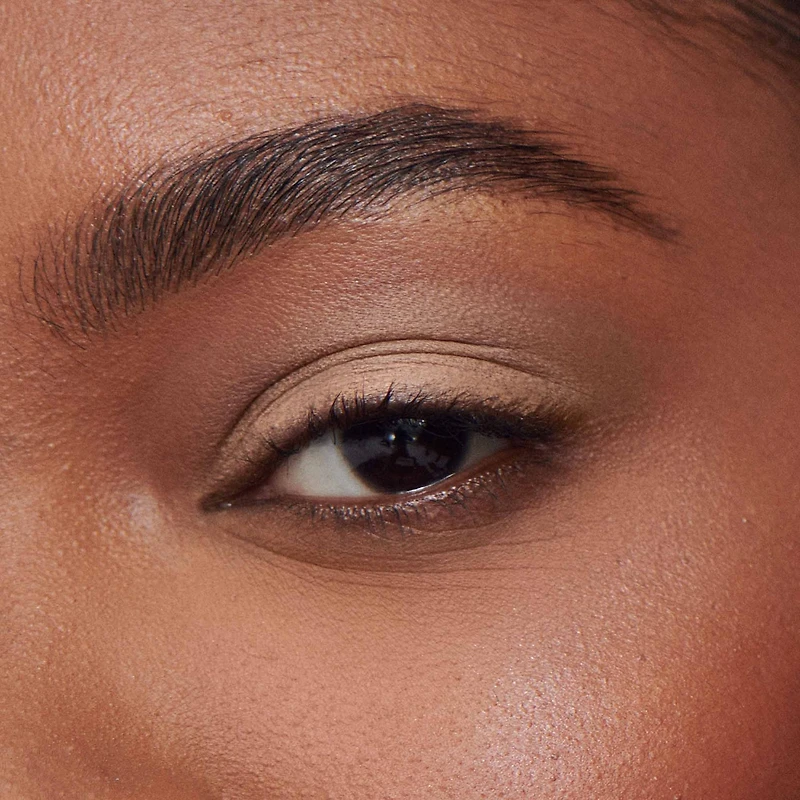 Liquid Powder Eye Shadow Tint