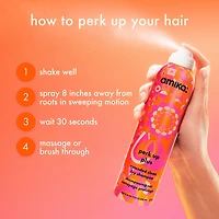 Perk Up Plus Extended Clean Dry Shampoo