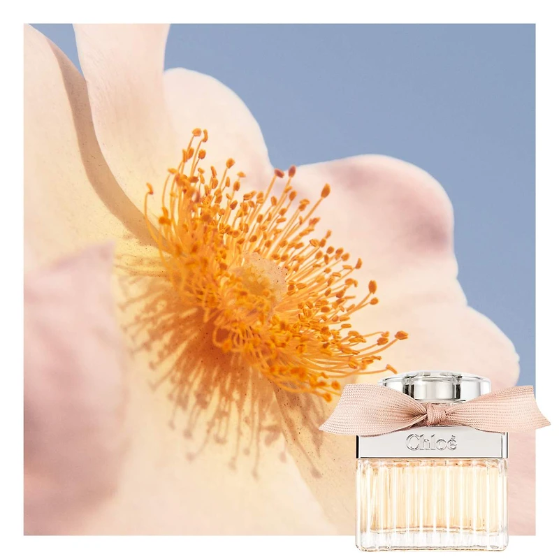 Chloé Eau de Parfum with Rose & Amber