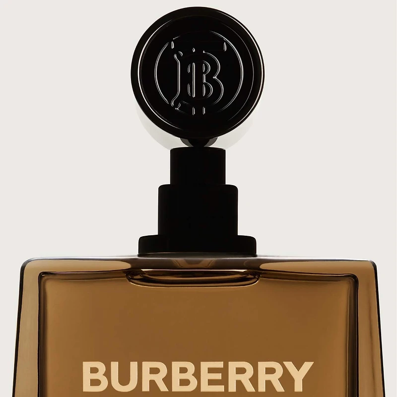 Eau de parfum Hero avec pin et cèdre