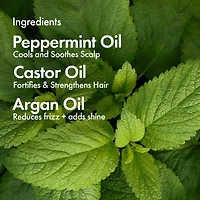 Soin pré-shampoing à l’huile capillaire Elixir avec huile de ricin
