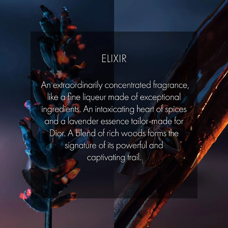 Sauvage Elixir