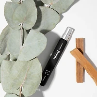 Book Expressive Eau de Parfum