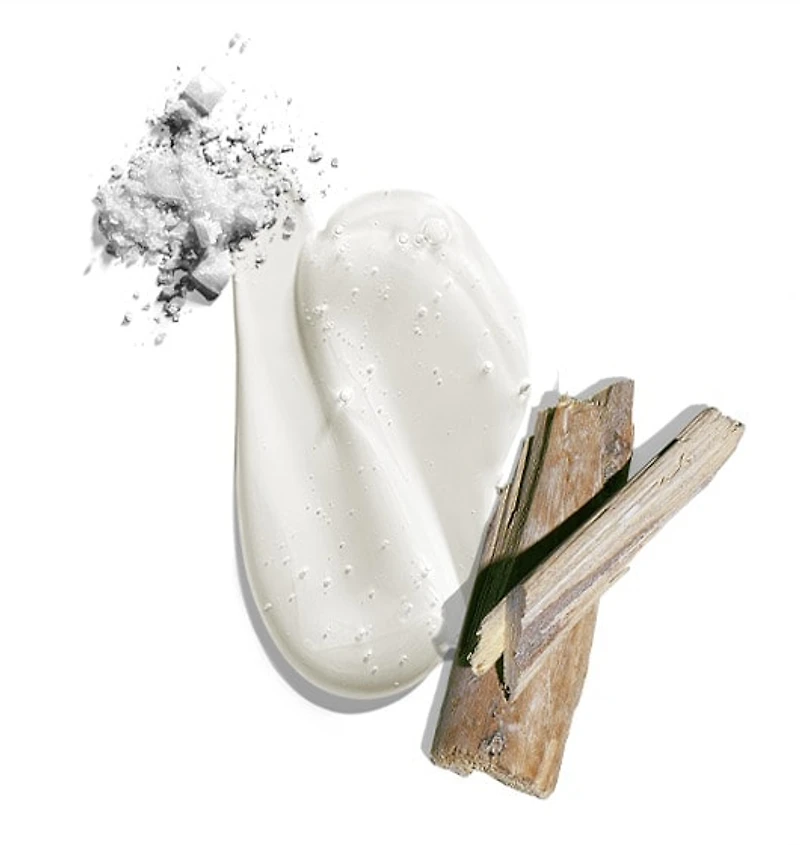 Nettoyant pour corps et cheveux Big Sir