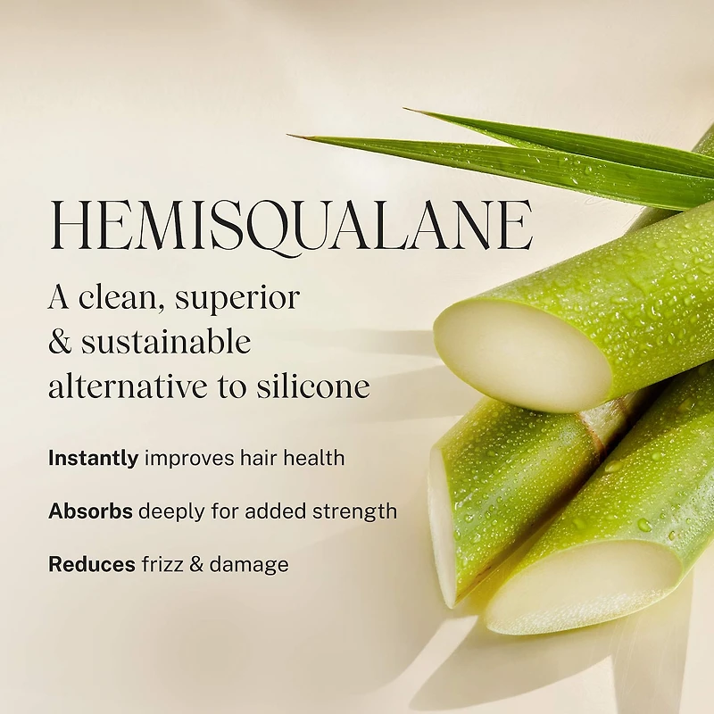 Embody Volumizing Hair  Foam